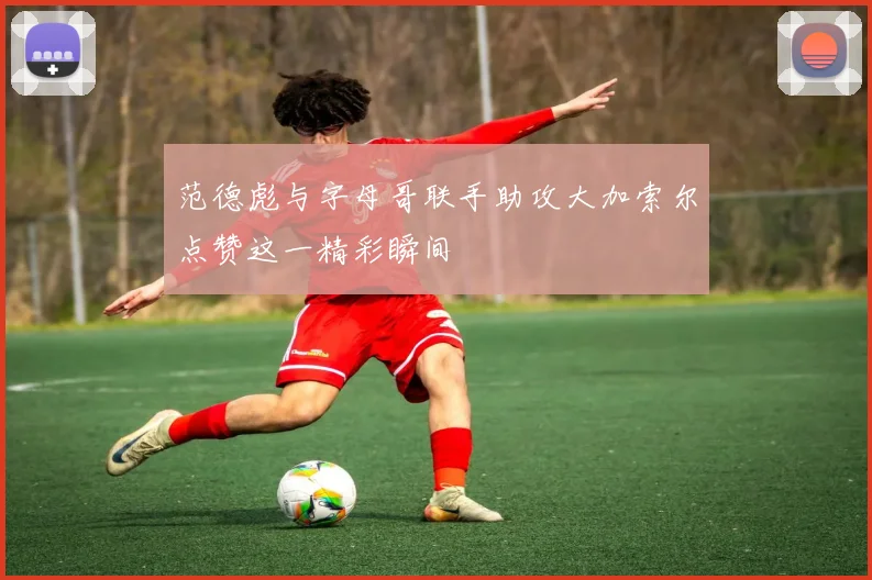 范德彪与字母哥联手助攻大加索尔点赞这一精彩瞬间